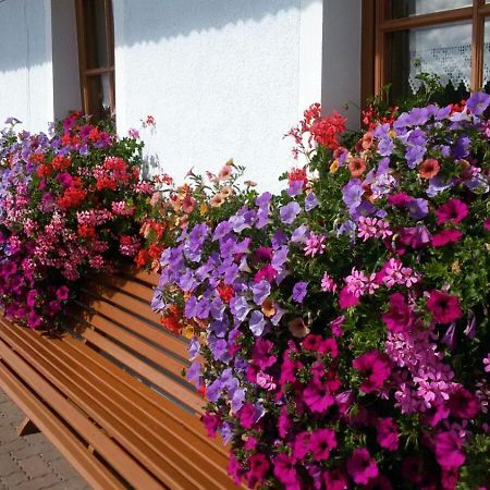 Urlaub Am Raderhof In Der Ferienregion Lungau Apartment Mauterndorf  Ngoại thất bức ảnh