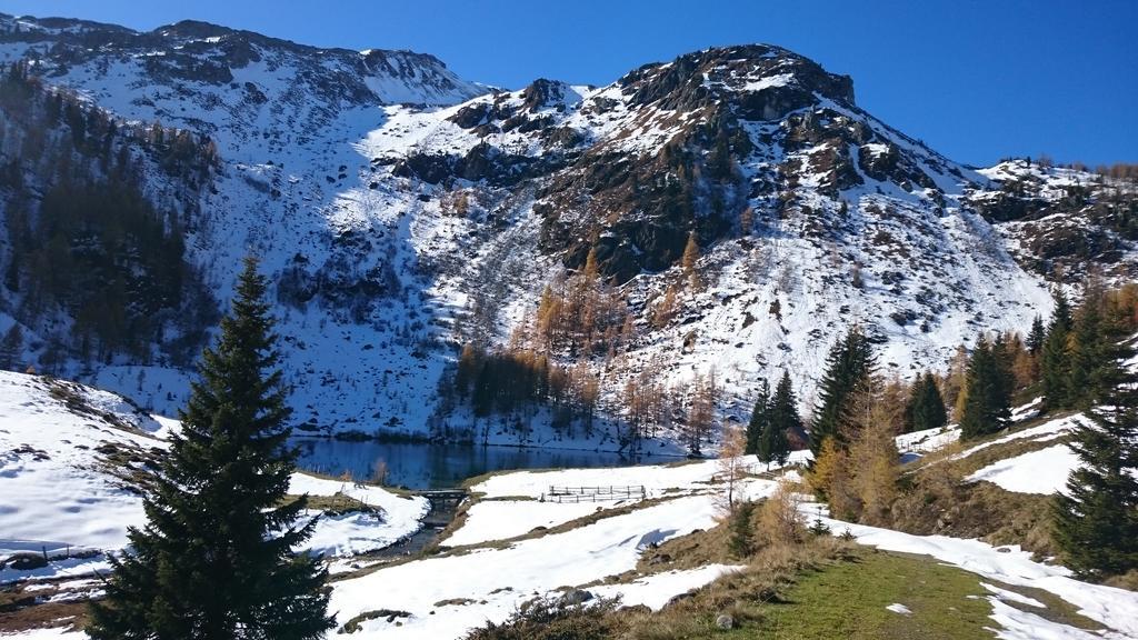 Urlaub Am Raderhof In Der Ferienregion Lungau Apartment Mauterndorf  Ngoại thất bức ảnh